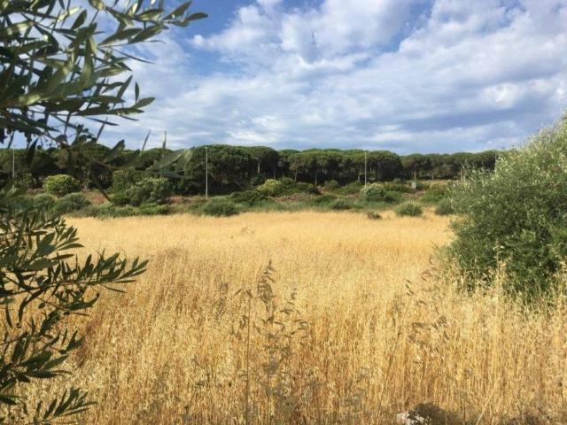 Terreno en venta en La Janda, Andalucía