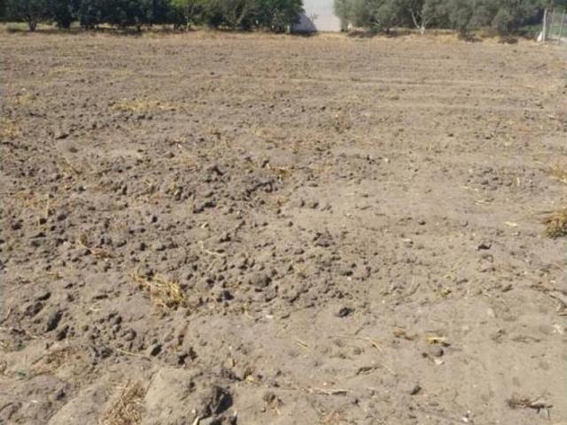 Terreno en venta en La Janda, Andalucía
