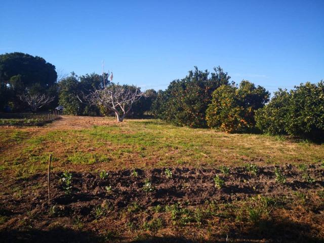 Terreno en venta en Ribera de la Oliva, La Janda