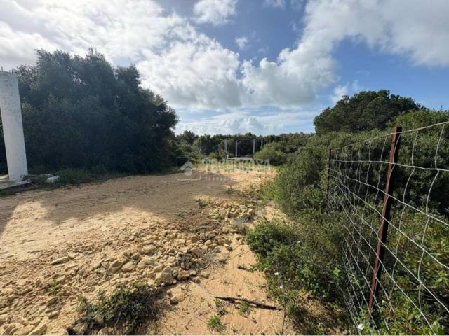 Terreno en venta en La Janda, Andalucía