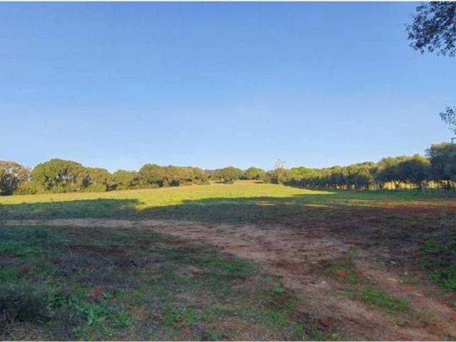 Terreno en venta en La Janda, Andalucía