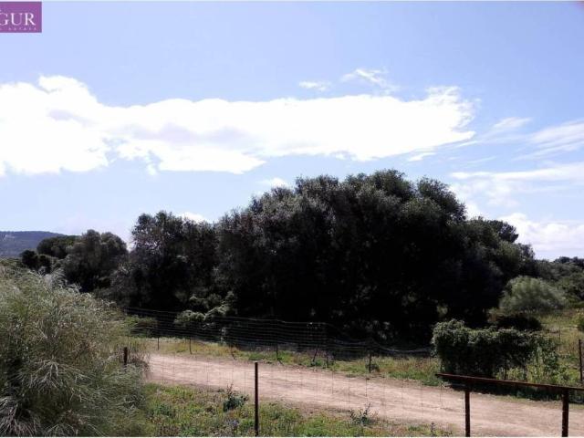 Terreno en venta en La Janda, Andalucía