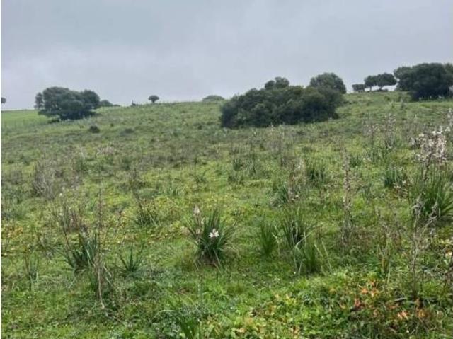 Terreno en venta en La Janda, Andalucía