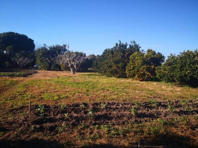 Terreno en venta en La Janda, Andalucía
