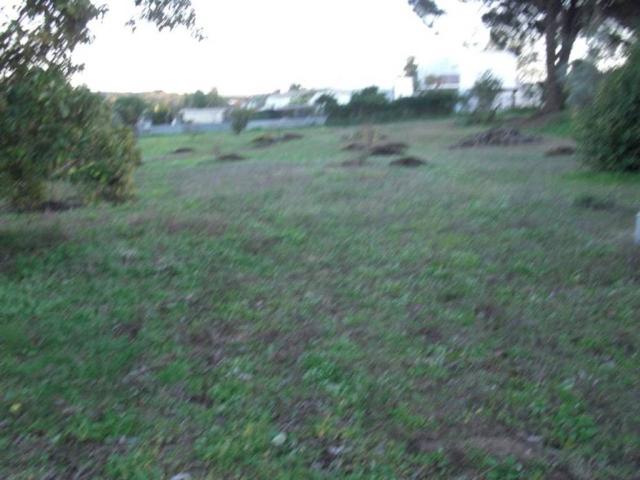 Terreno en venta en La Janda, Andalucía