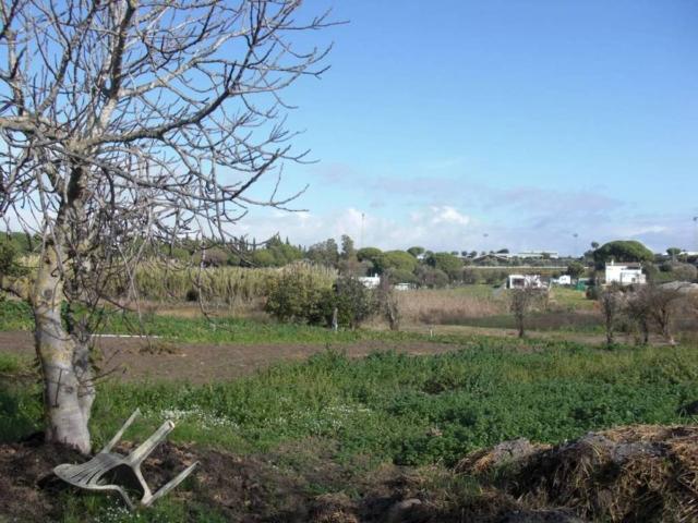 Terreno en venta en La Janda, Andalucía