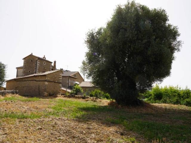 Terreno en venta en Aínsa-sobrarbe, Aragón