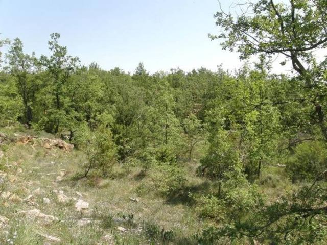 Terreno en venta en Aínsa-sobrarbe, Aragón