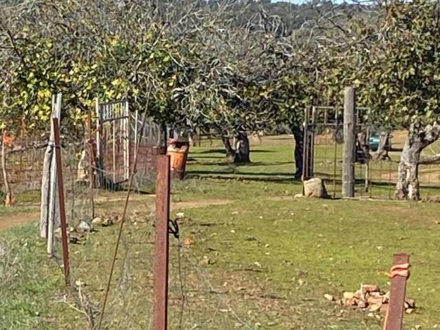 Terreno en venta en Barcarrota