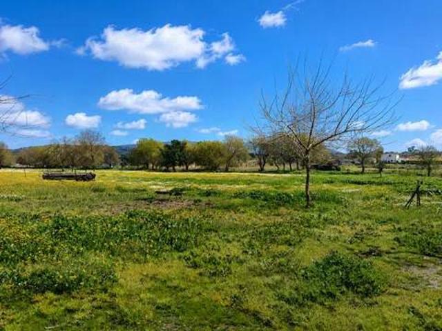 Terreno en venta en Llanos de Olivenza, Extremadura