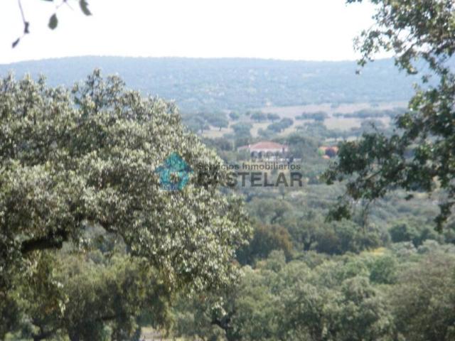 Terreno en venta en Llanos de Olivenza, Extremadura
