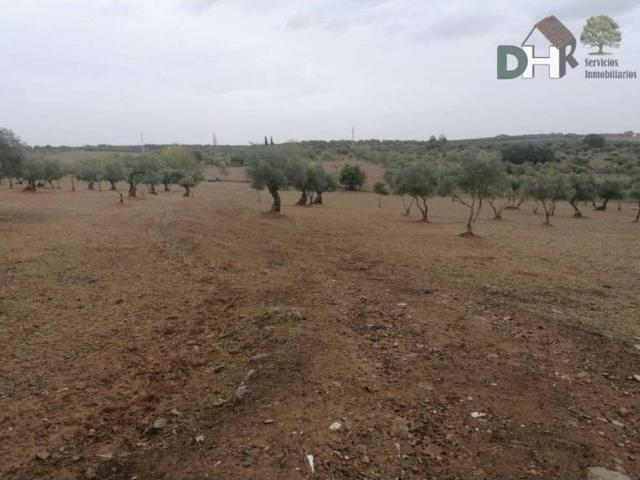 Terreno en venta en Llanos de Olivenza, Extremadura