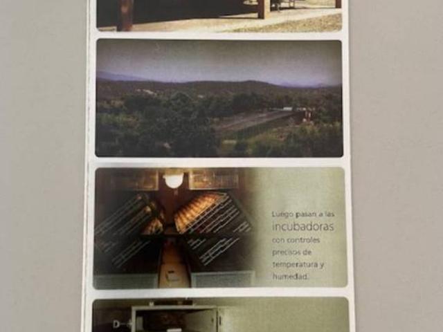 Terreno en venta en Llanos de Olivenza, Extremadura