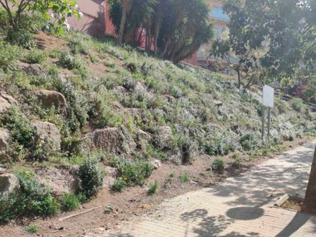 Terreno en venta en Barcelona, Ciutat Vella