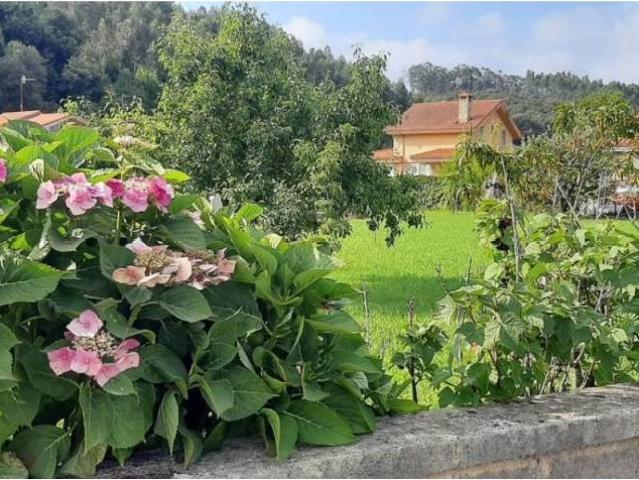 Terreno en venta en Gama, Cantabria