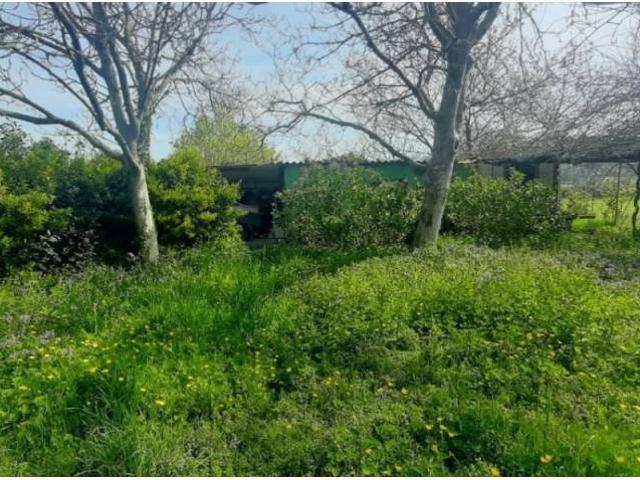 Terreno en venta en Gama, Cantabria