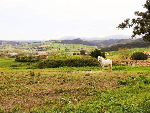 Terreno en venta en Bareyo