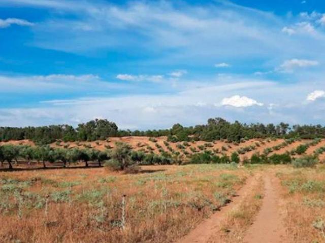Terreno en venta en Bargas, Urbanización Floresta Terreno en venta en Bargas, Urbanización Floresta