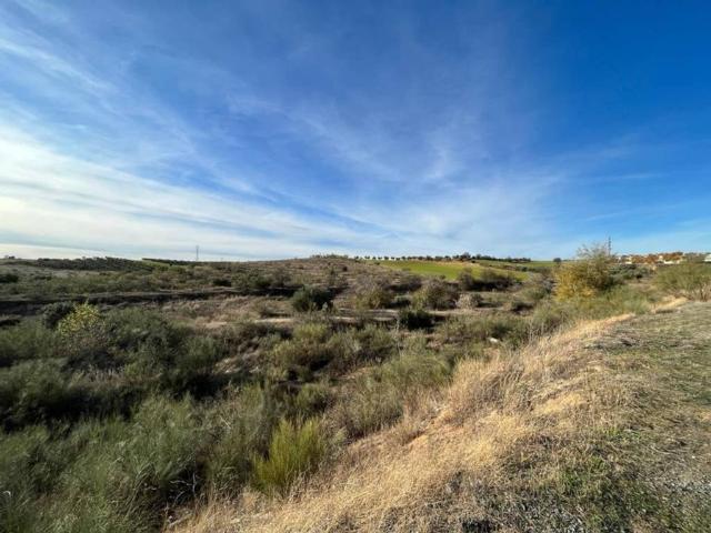 Terreno en venta en Bargas, Castilla-La Mancha