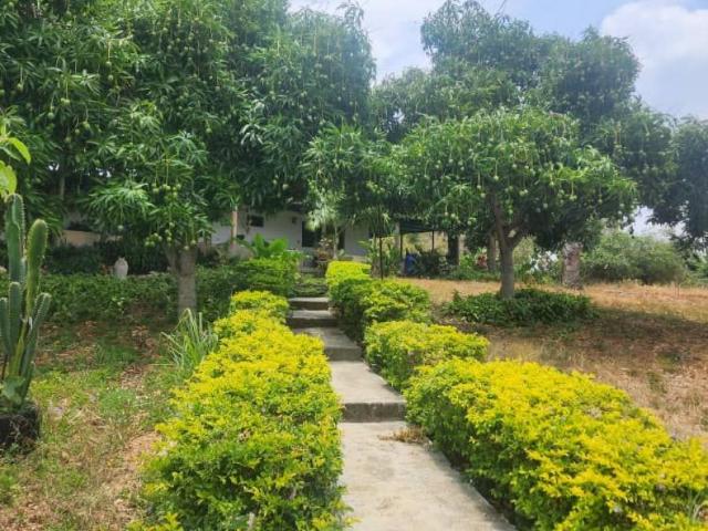 Terreno en venta en Iribarren, Lara