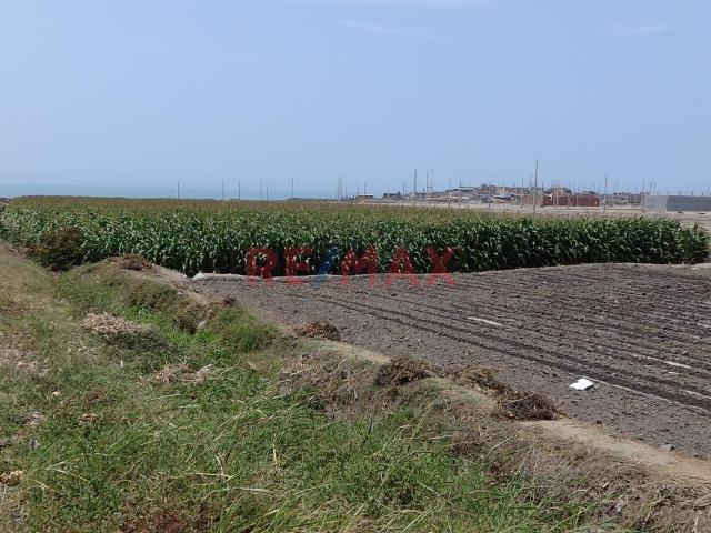 Terreno venta en Puerto Supe, Lima Metropolitana