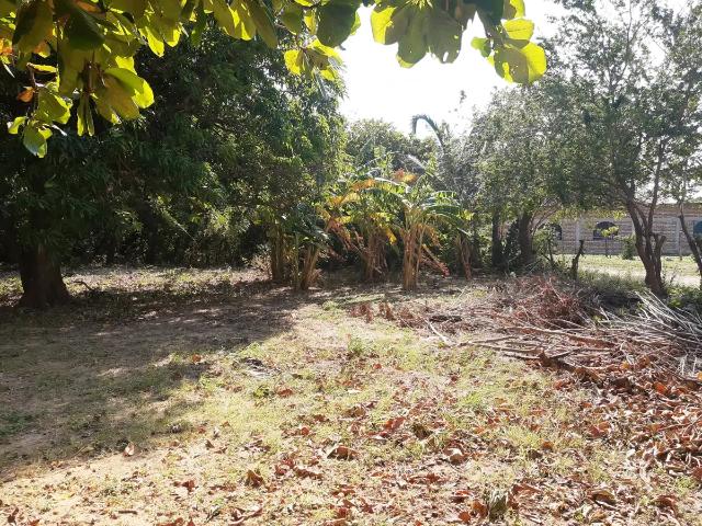 Terreno en venta en Arriaga, Chiapas