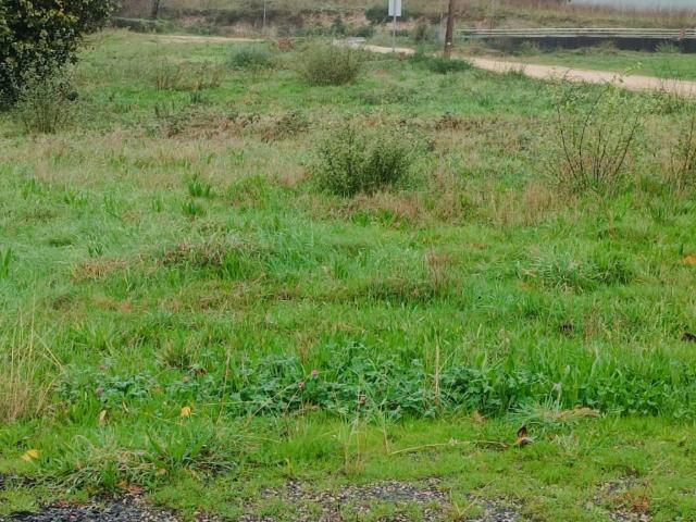 Terreno en venta en Barro