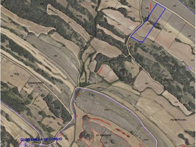 Terreno en venta en Barruelo De Santullán, Castilla y León