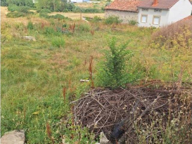 Terreno en venta en Barruelo De Santullán, Castilla y León