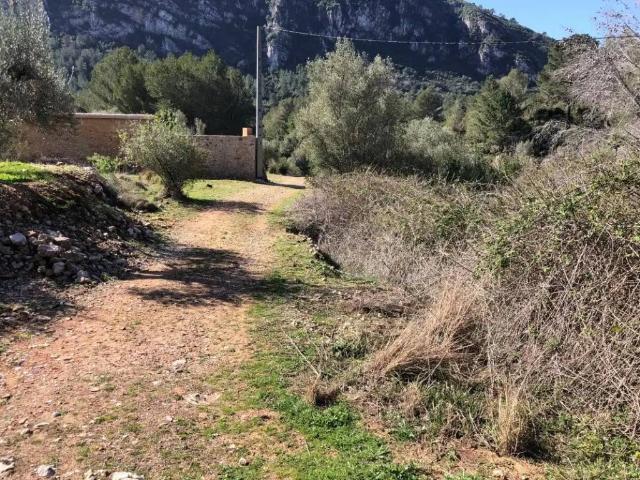 Terreno en venta en Barx, València / Valencia