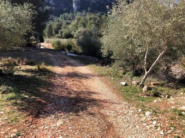 Terreno en venta en Barx, València / Valencia