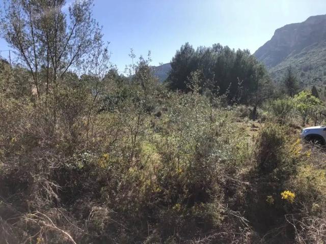 Terreno en venta en Barx, València / Valencia