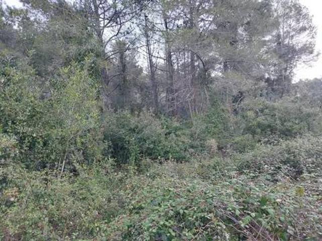 Terreno en venta en la Safor, Valencia