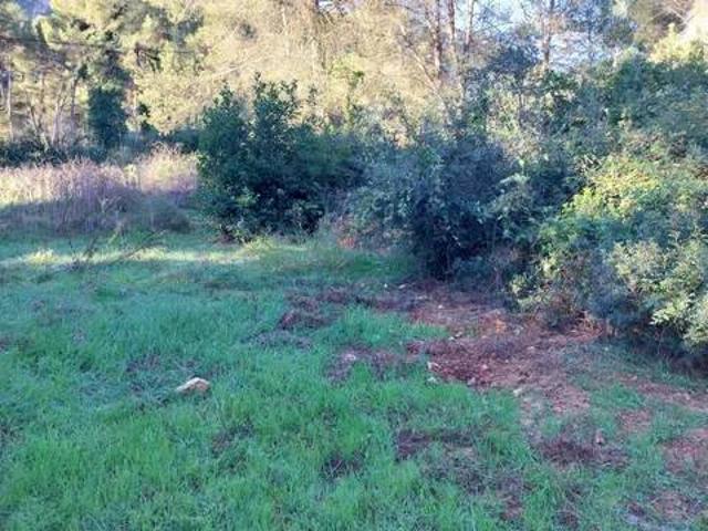 Terreno en venta en la Safor, Valencia