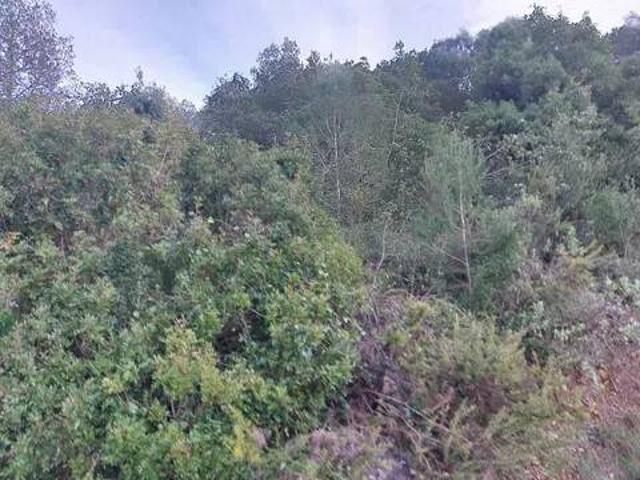 Terreno en venta en la Safor, Valencia