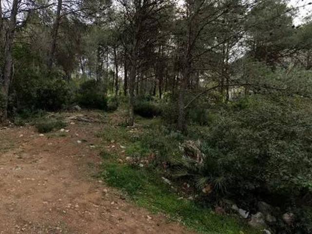 Terreno en venta en la Safor, Valencia