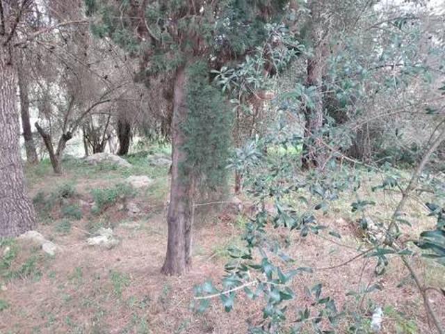 Terreno en venta en la Safor, Valencia
