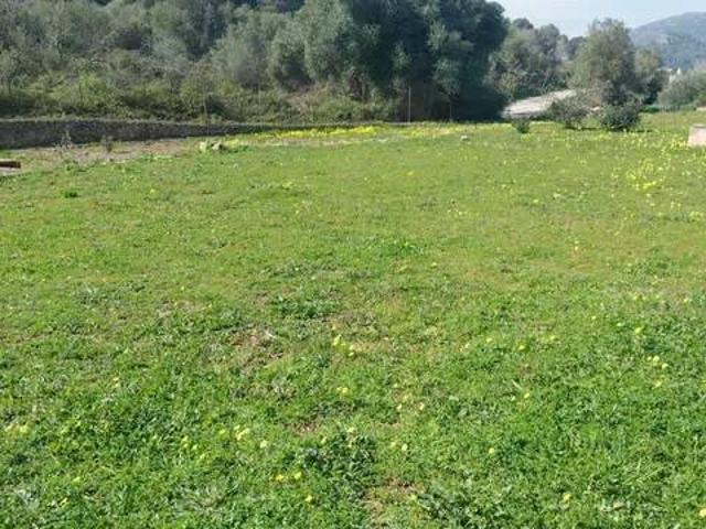 Terreno en venta en la Safor, Valencia