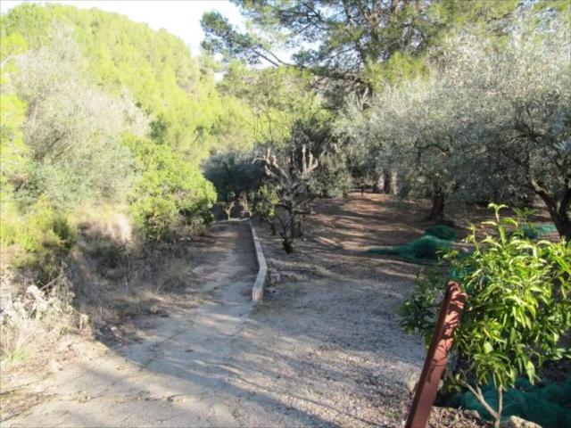Terreno en venta en la Costera, Valencia