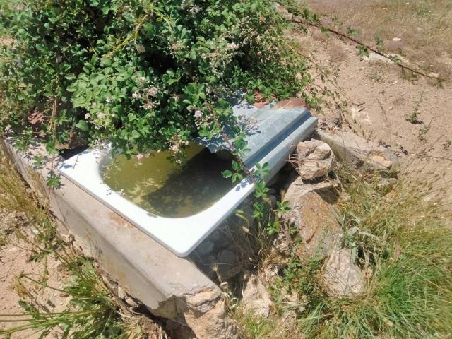 Terreno en venta en Basardilla, Castilla y León