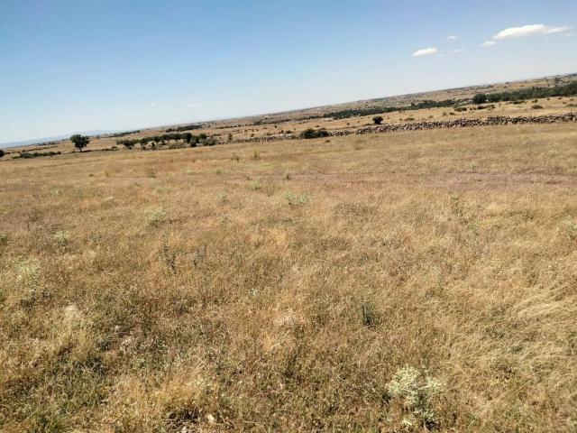 Terreno en venta en Basardilla, Castilla y León