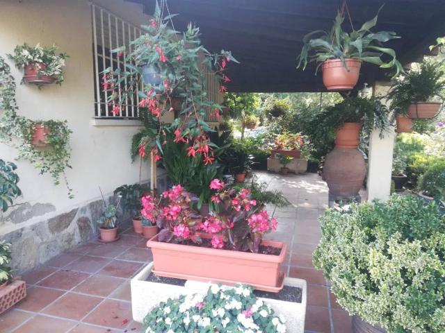 Terreno en venta en Basardilla, Sexmo de San Lorenzo Terreno en venta en Basardilla, Sexmo de San Lorenzo