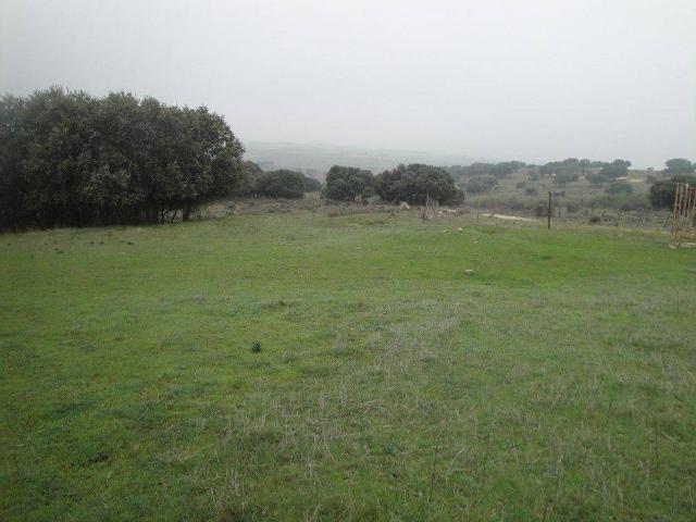 Terreno en venta en Pelayos Del Arroyo Terreno en venta en Pelayos Del Arroyo