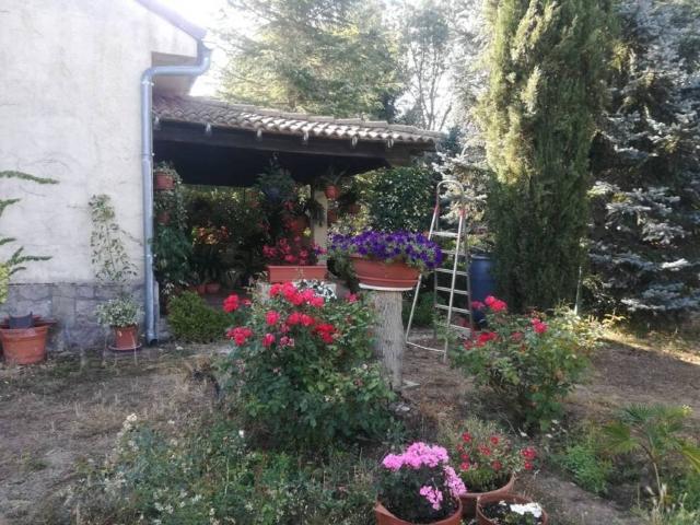 Terreno en venta en Sexmo de San Lorenzo, Basardilla
