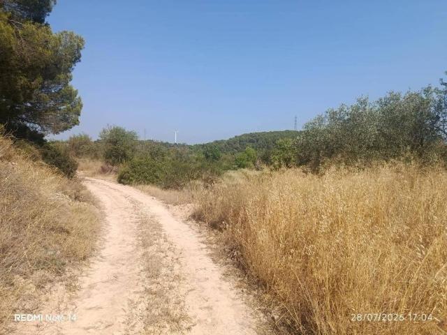 Terreno en venta en Terra Alta, Catalunya