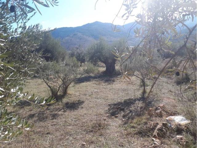 Terreno en venta en Bayárcal, Andalucía