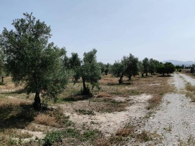 Terreno en venta en Comarca de Baza, Andalucía