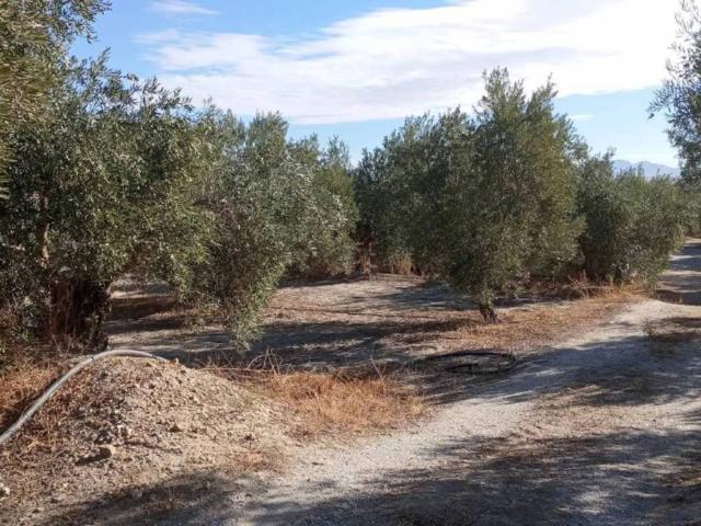 Terreno en venta en Comarca de Baza, Andalucía