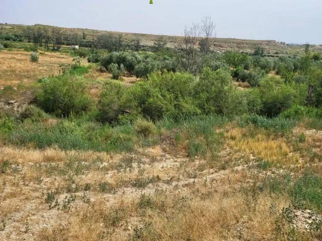 Terreno en venta en Comarca de Baza, Andalucía