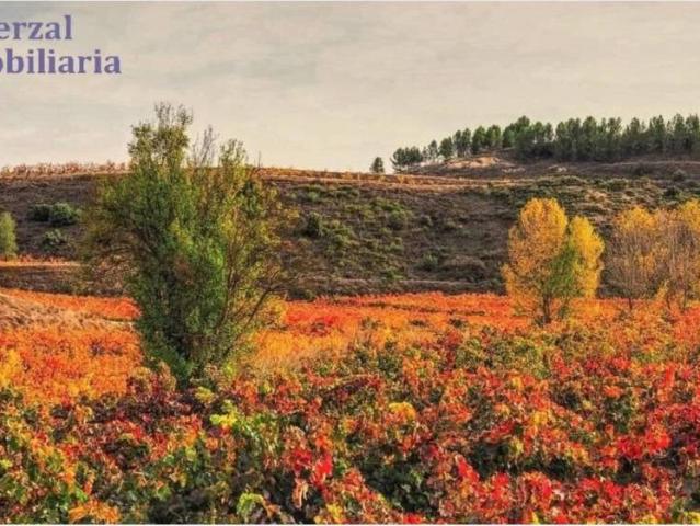 Terreno en venta en Arabako Errioxa, Guipúzcoa